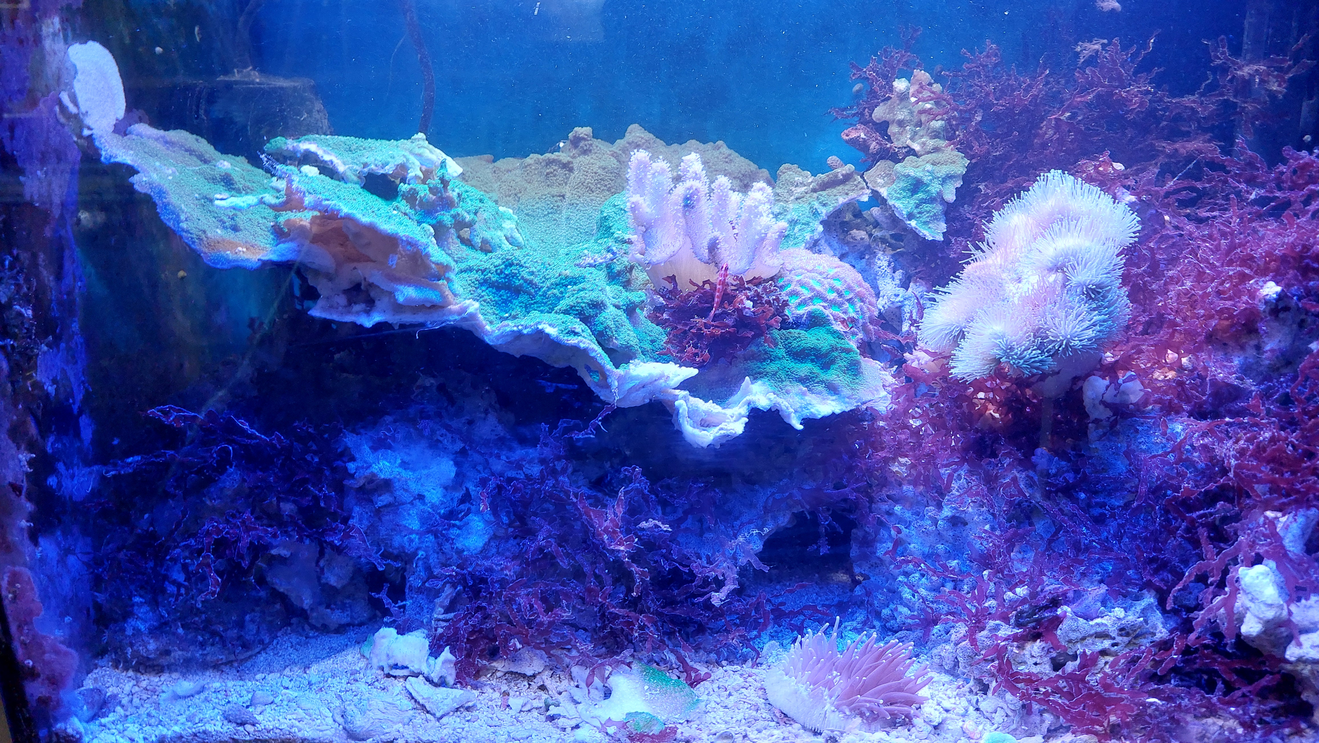 aquarium 2025